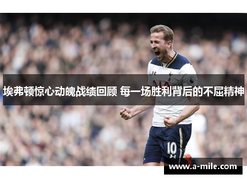 埃弗顿惊心动魄战绩回顾 每一场胜利背后的不屈精神