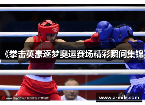 《拳击英豪逐梦奥运赛场精彩瞬间集锦》